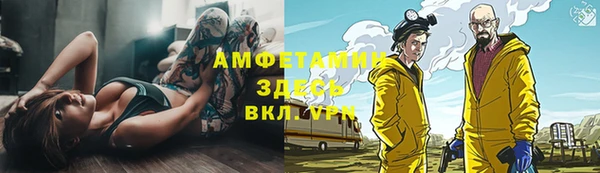 дживик Бородино