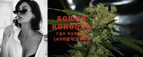 амф Бронницы