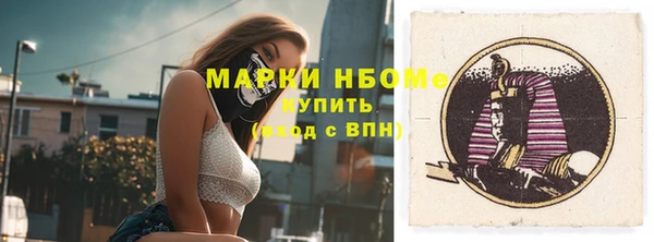 дживик Бородино