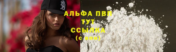дживик Бородино