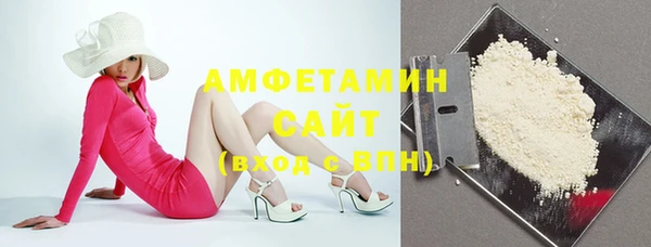 амф Бронницы