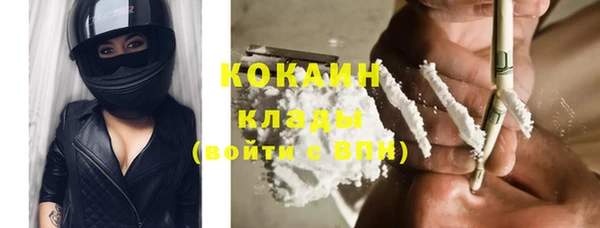 дживик Бородино