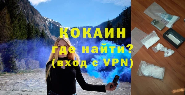 дживик Бородино