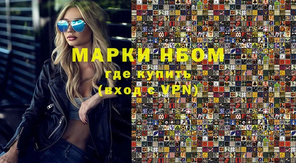дживик Бородино