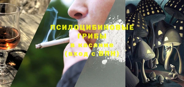 дживик Бородино