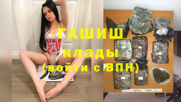 дживик Бородино