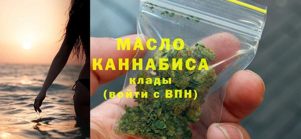 дживик Бородино