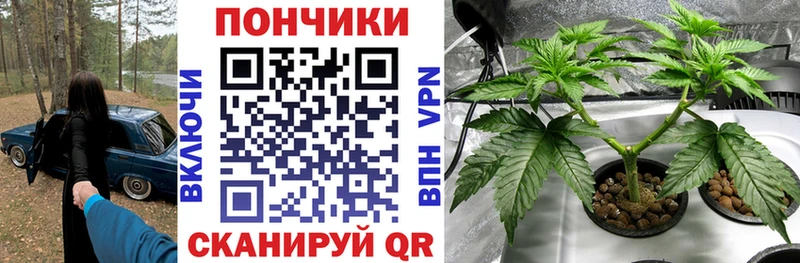 Купить где  Октябрьск  Шишки марихуана Bruce Banner 